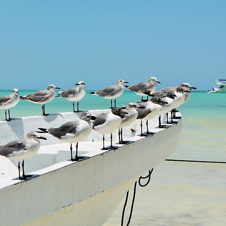 El Corazon Boutique Hotel - Adults Only With Beach Club Pass Included Isla Holbox Ngoại thất bức ảnh