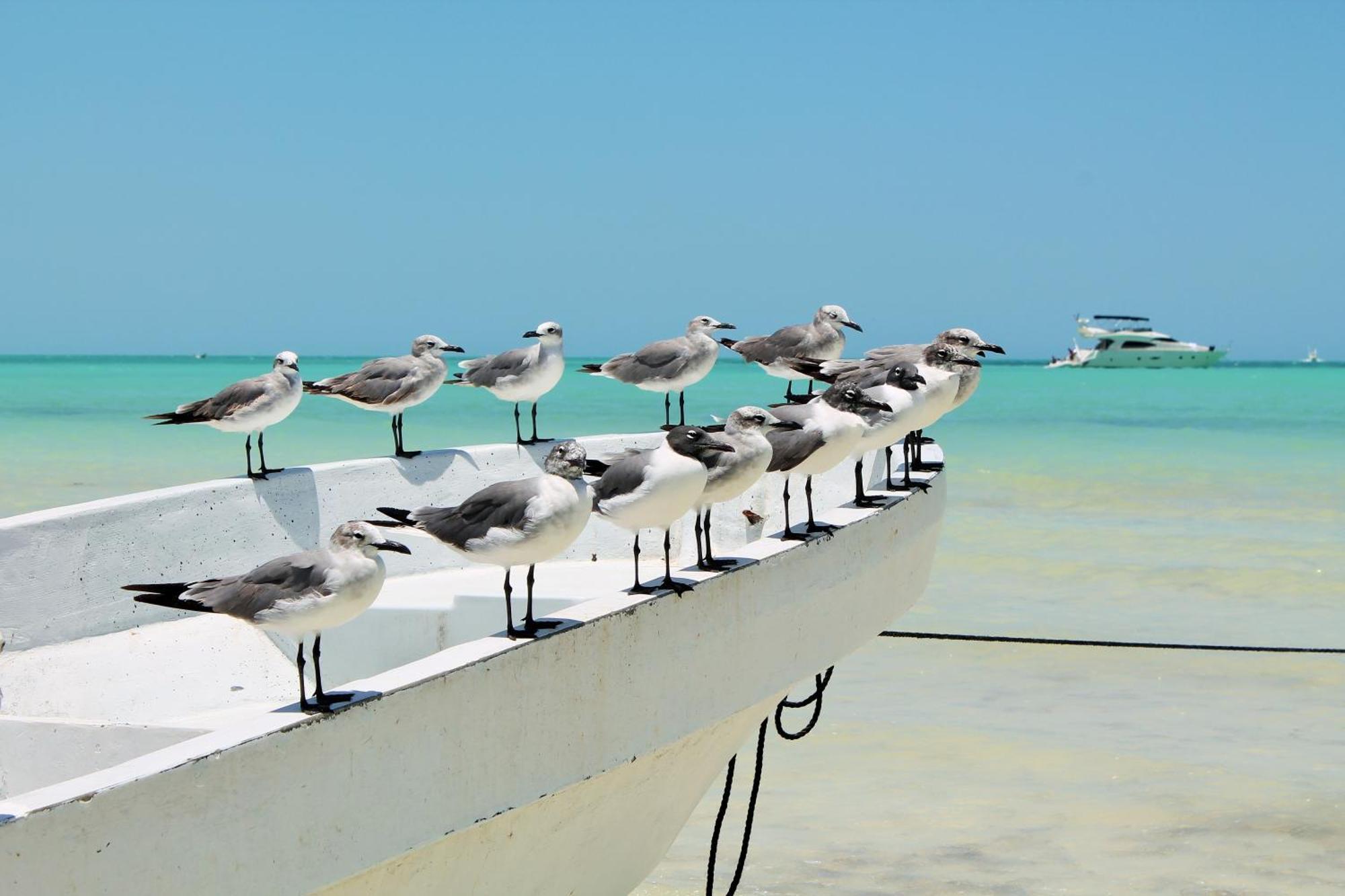 El Corazon Boutique Hotel - Adults Only With Beach Club Pass Included Isla Holbox Ngoại thất bức ảnh