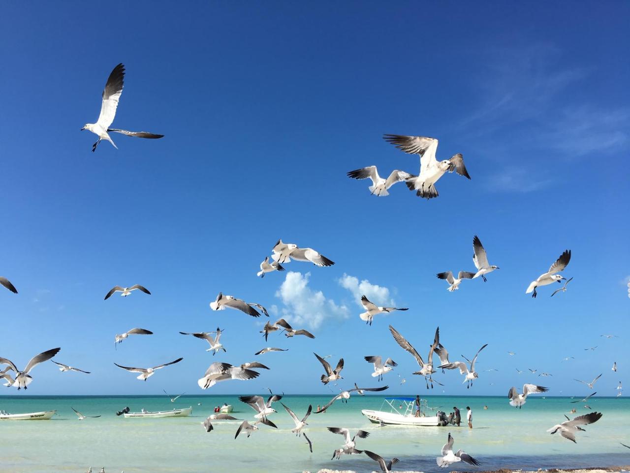 El Corazon Boutique Hotel - Adults Only With Beach Club Pass Included Isla Holbox Ngoại thất bức ảnh
